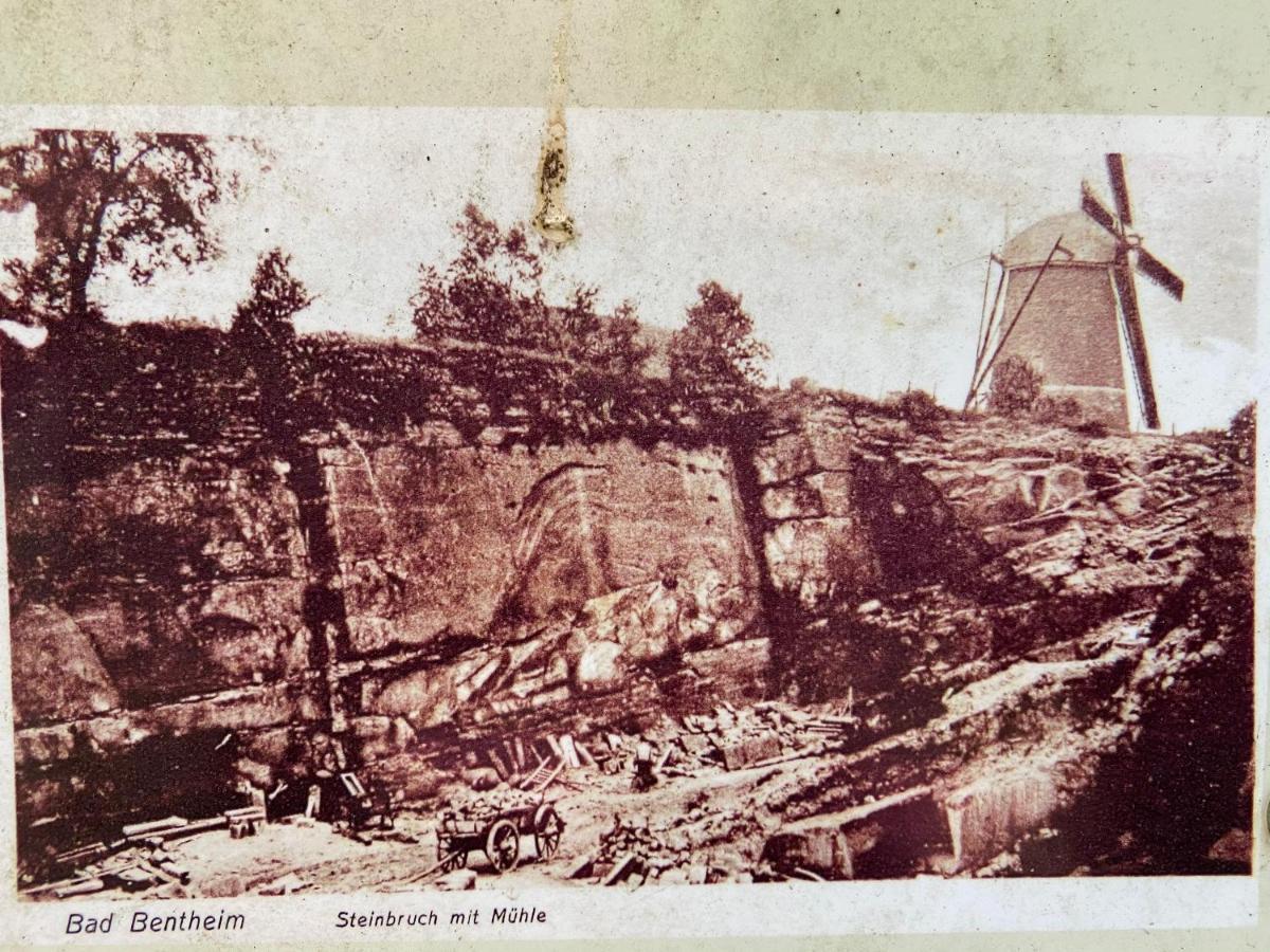 "An Der Alten Muehle 1" Fewo 120 Qm, Zwei Grosse Schlafzimmer, Suedbalkon, Gartenterrasse & Wallbox Bad Bentheim Zewnętrze zdjęcie