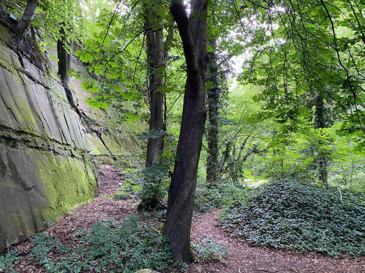"An Der Alten Muehle 1" Fewo 120 Qm, Zwei Grosse Schlafzimmer, Suedbalkon, Gartenterrasse & Wallbox Bad Bentheim Zewnętrze zdjęcie