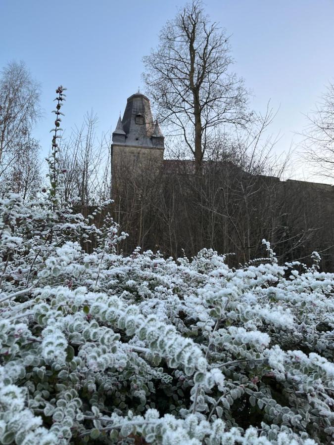 "An Der Alten Muehle 1" Fewo 120 Qm, Zwei Grosse Schlafzimmer, Suedbalkon, Gartenterrasse & Wallbox Bad Bentheim Zewnętrze zdjęcie
