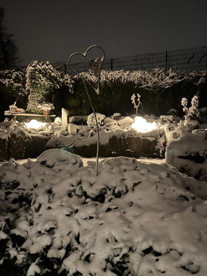 "An Der Alten Muehle 1" Fewo 120 Qm, Zwei Grosse Schlafzimmer, Suedbalkon, Gartenterrasse & Wallbox Bad Bentheim Zewnętrze zdjęcie