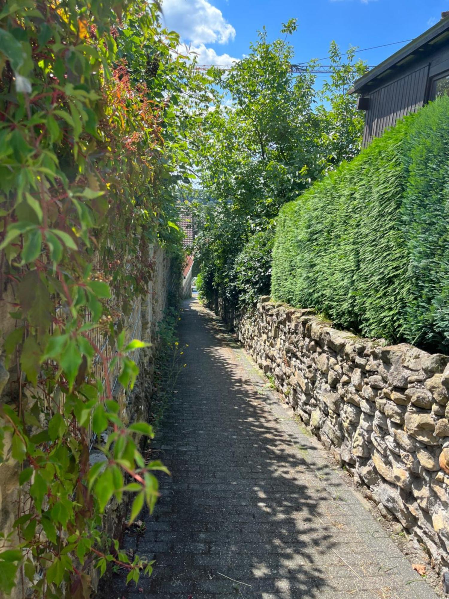 "An Der Alten Muehle 1" Fewo 120 Qm, Zwei Grosse Schlafzimmer, Suedbalkon, Gartenterrasse & Wallbox Bad Bentheim Zewnętrze zdjęcie
