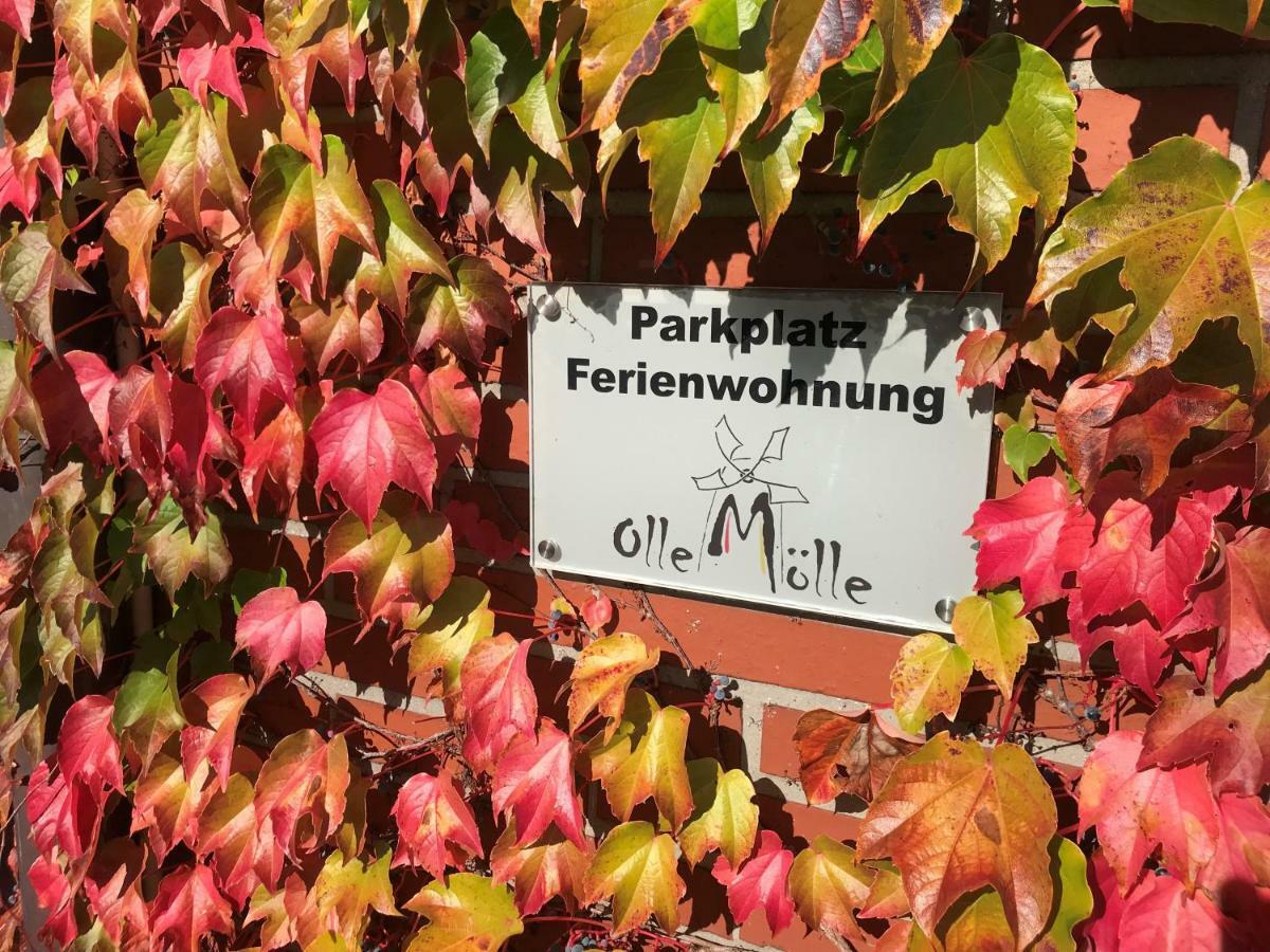 "An Der Alten Muehle 1" Fewo 120 Qm, Zwei Grosse Schlafzimmer, Suedbalkon, Gartenterrasse & Wallbox Bad Bentheim Zewnętrze zdjęcie